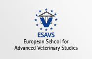 ESAVS